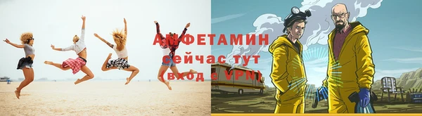 крисы Богородицк