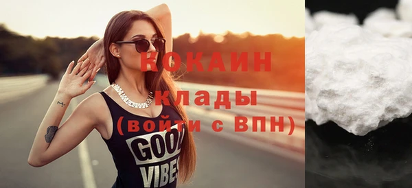 крисы Богородицк