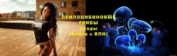 крисы Богородицк