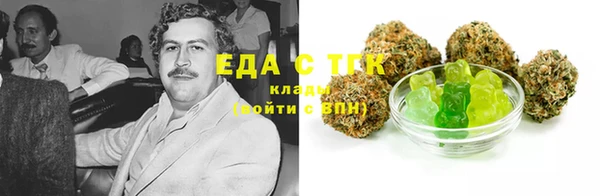 крисы Богородицк