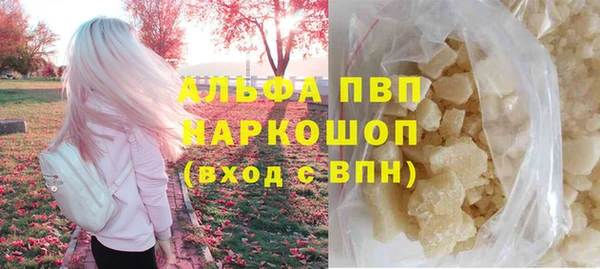 крисы Богородицк