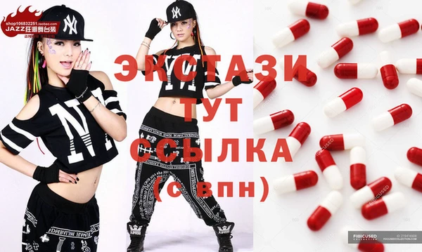 крисы Богородицк