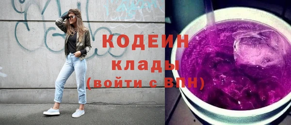 крисы Богородицк