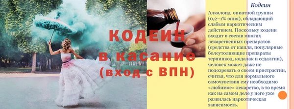крисы Богородицк