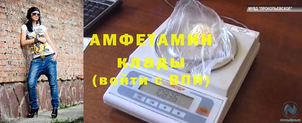крисы Богородицк